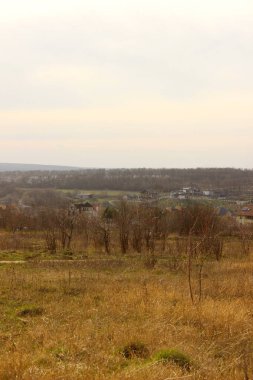 Güzel manzaranın dikey görüntüsü. Manzara, doğa, tarım arazisi kavramı. Doğa arkaplanı.  
