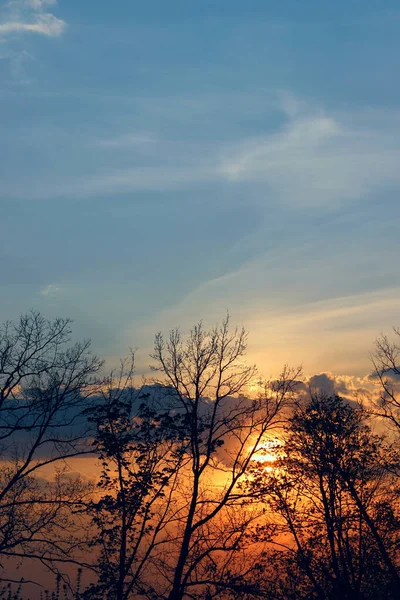 Bomen Silhouetten Tegen Zonsondergang Hemel Natuur Reisconcept Prachtige Natuur Achtergrond — Stockfoto