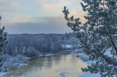 güzel kış manzara ağaçlar hoarfrost bir kış gün içinde