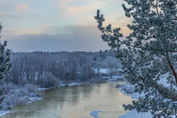 Красиві зимові пейзажні дерева в калюжі зимовий день — стокове фото