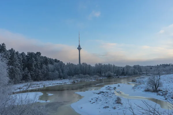 Beaux arbres de paysage d'hiver sous le givre un jour d'hiver, et TV TOWER — Photo