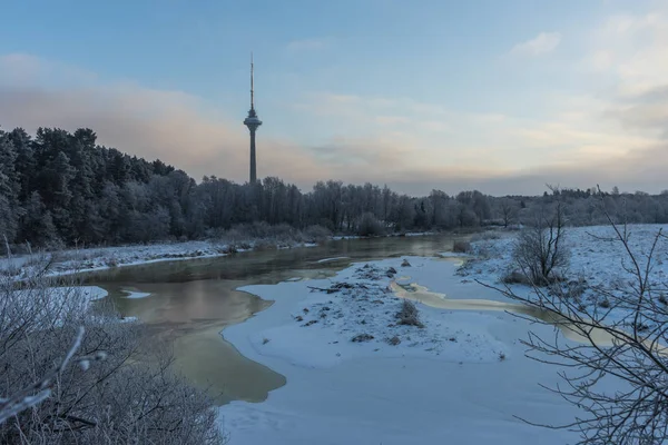 Beaux arbres de paysage d'hiver sous le givre un jour d'hiver, et TV TOWER — Photo