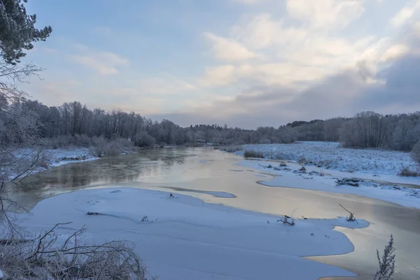 Hermosos árboles de paisaje de invierno en las heladas un día de invierno — Foto de Stock