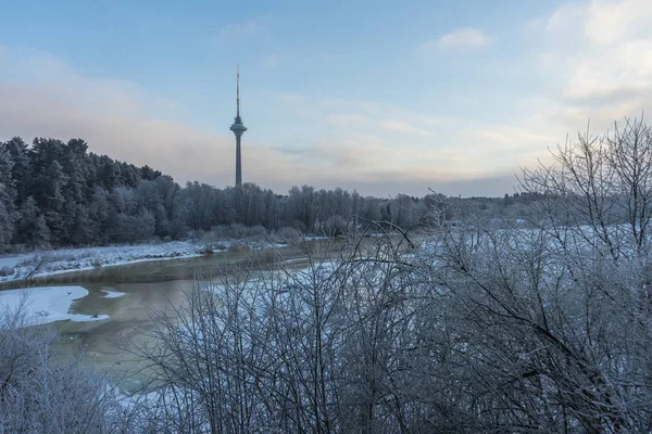 Beaux arbres de paysage d'hiver sous le givre un jour d'hiver, et TV TOWER — Photo