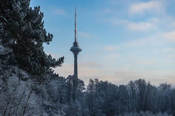 güzel bir kış günü ve Tv Kulesi hoarfrost içinde kış manzara ağaçlar
