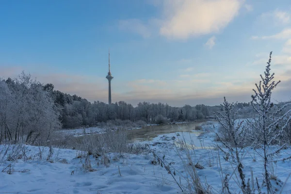 Beaux arbres de paysage d'hiver sous le givre un jour d'hiver, et TV TOWER — Photo