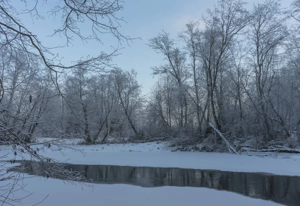 Beaux arbres de paysage d'hiver sous le givre un jour d'hiver — Photo