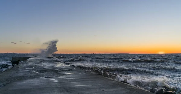 スマート フォンで海の夕日 — ストック写真