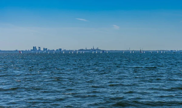 tallinn deniz cityscape bakış