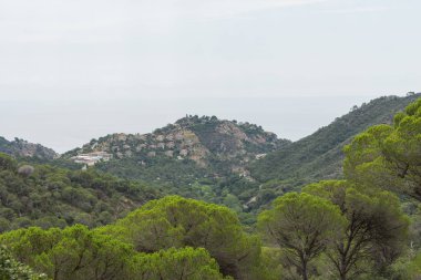 İspanya güzel yeşil manzara