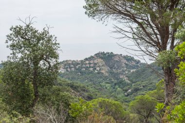 İspanya güzel yeşil manzara