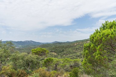 İspanya güzel yeşil manzara