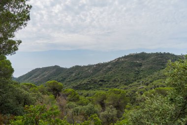 İspanya güzel yeşil manzara
