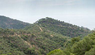 İspanya güzel yeşil manzara