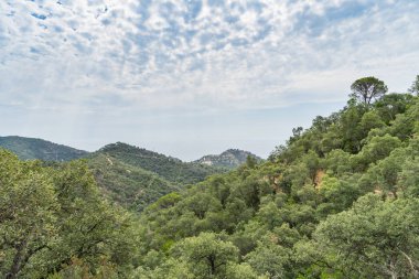 İspanya güzel yeşil manzara