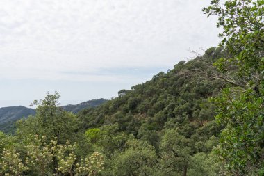 İspanya güzel yeşil manzara