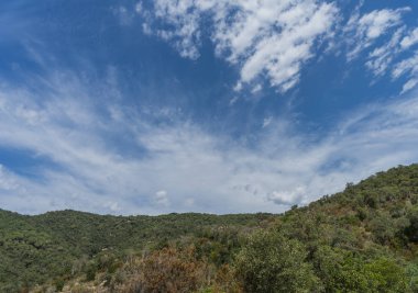 İspanya güzel yeşil manzara