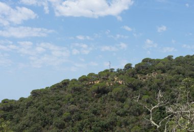 İspanya güzel yeşil manzara