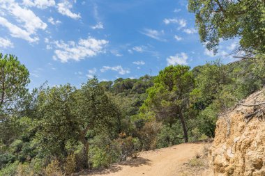 İspanya güzel yeşil manzara