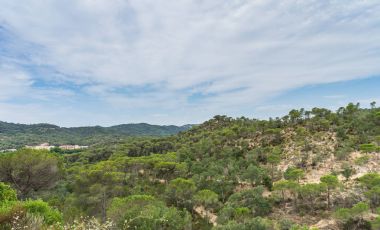 İspanya güzel yeşil manzara