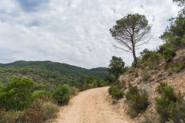 İspanya güzel yeşil manzara