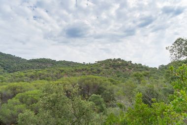 İspanya güzel yeşil manzara