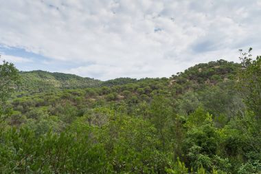 İspanya güzel yeşil manzara