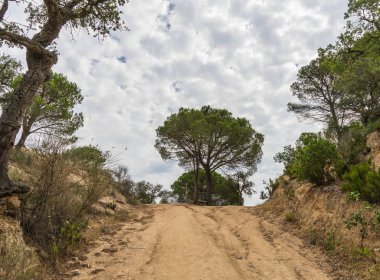 İspanya güzel yeşil manzara