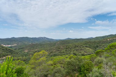 İspanya güzel yeşil manzara