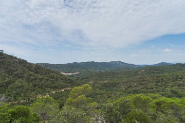 İspanya güzel yeşil manzara