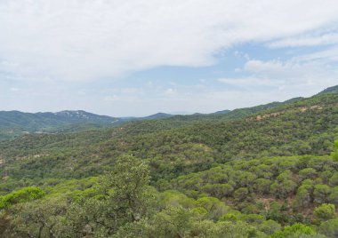 İspanya güzel yeşil manzara
