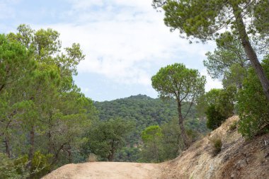 İspanya güzel yeşil manzara