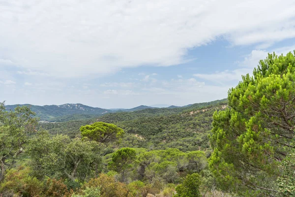 İspanya güzel yeşil manzara