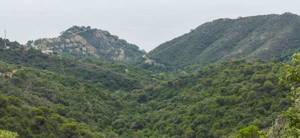 スペインの美しい緑の風景 — ストック写真