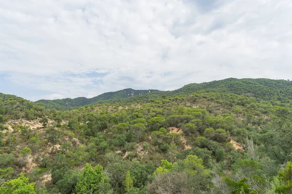 İspanya güzel yeşil manzara