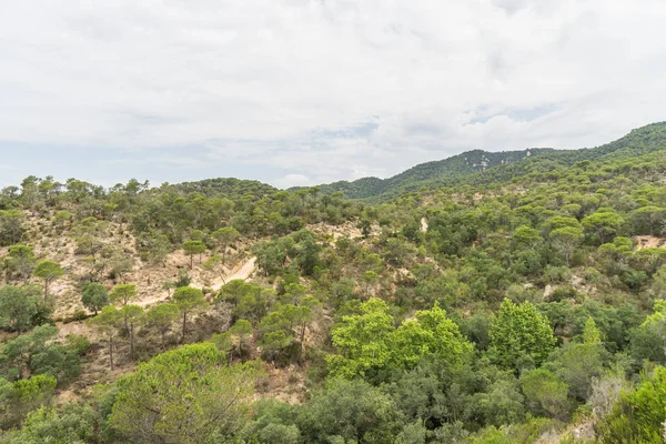 스페인의 아름 다운 녹색 풍경 — 스톡 사진
