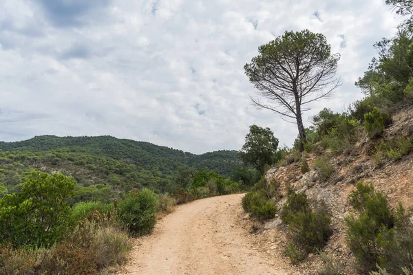İspanya güzel yeşil manzara