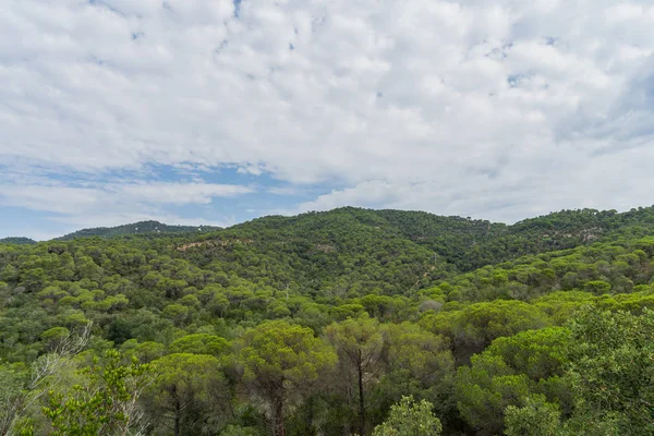 İspanya güzel yeşil manzara