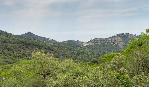 İspanya güzel yeşil manzara
