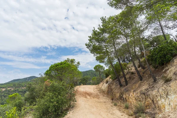 İspanya güzel yeşil manzara