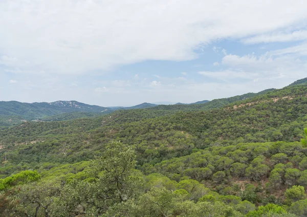 İspanya güzel yeşil manzara