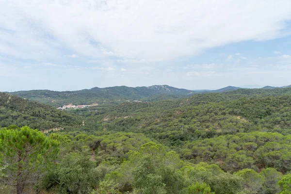 İspanya güzel yeşil manzara