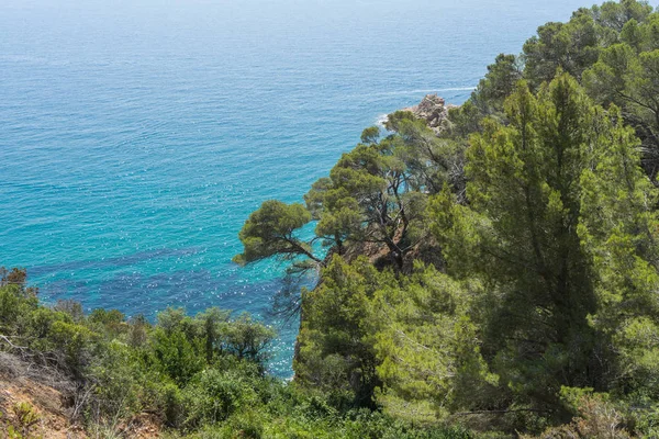Cala Llorell beach Tossa de Mar, İspanya koyları