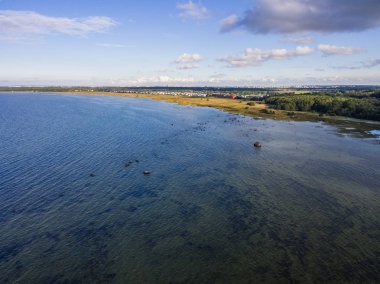 Alansal görünümü yeşil orman Denizi