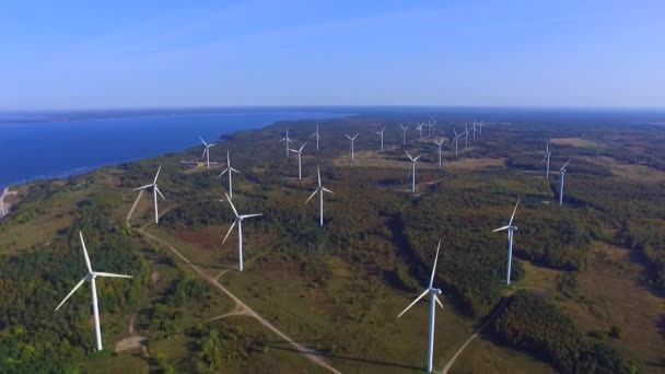 Aerial view green landscape with wind turbine, green energy — Stock Video