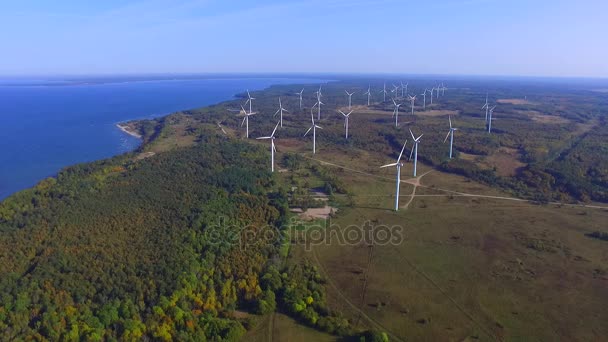 Aerial view green landscape with wind turbine, green energy — Stock Video
