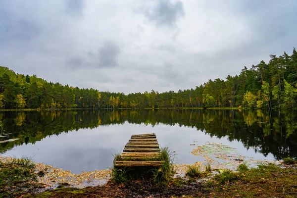 Осенний лес у воды — стоковое фото