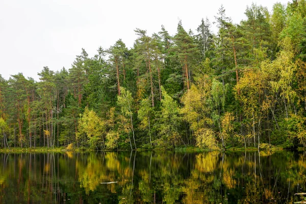 Suya yakın güzel sonbahar orman