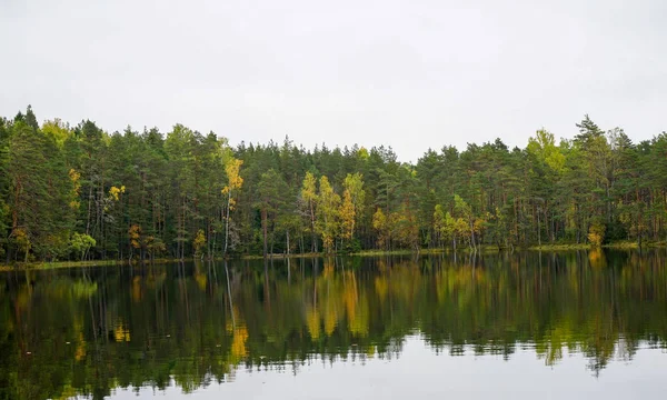 Mooie herfst bos in de buurt van het water — Stockfoto