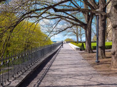 Eski Tallinn Estonya 'nın güzel manzarası